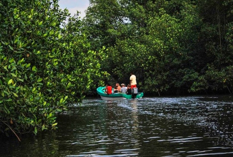 Juan Venado Island Nature Reserve, Near Las Peñitas, León, Nicaragua